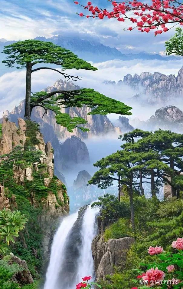 探索房子卖给租户,原房主还可以继续居住吗?,加入知识星球平台